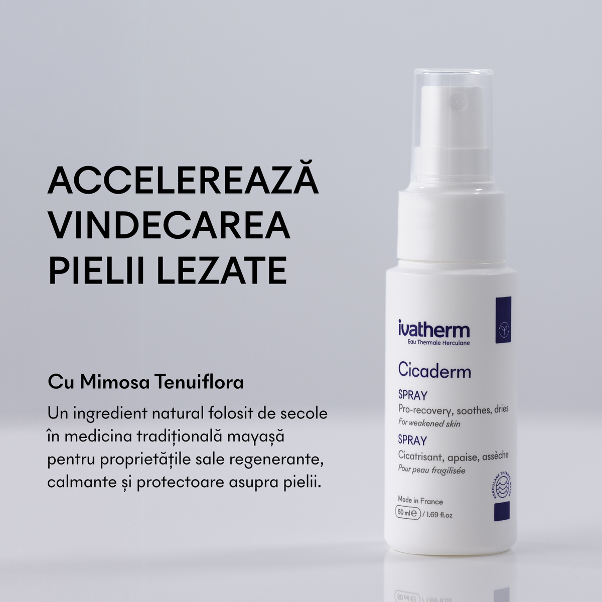 Cicaderm Repairing Spray with Mimosa tenuiflora for weeping lesions and sensitive skin, 50 ml