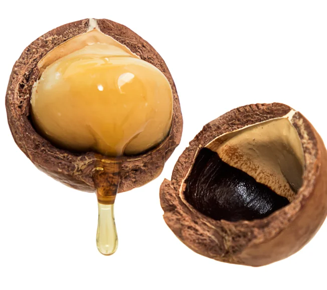 Macadamia Oil