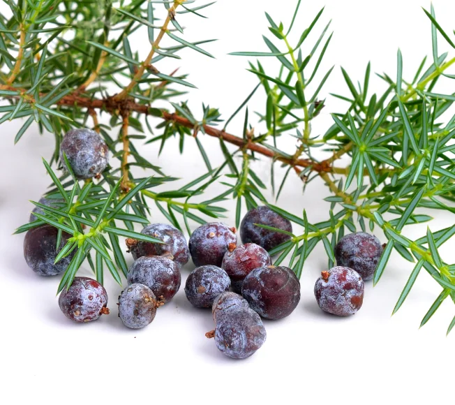 Red Juniper essential oil
