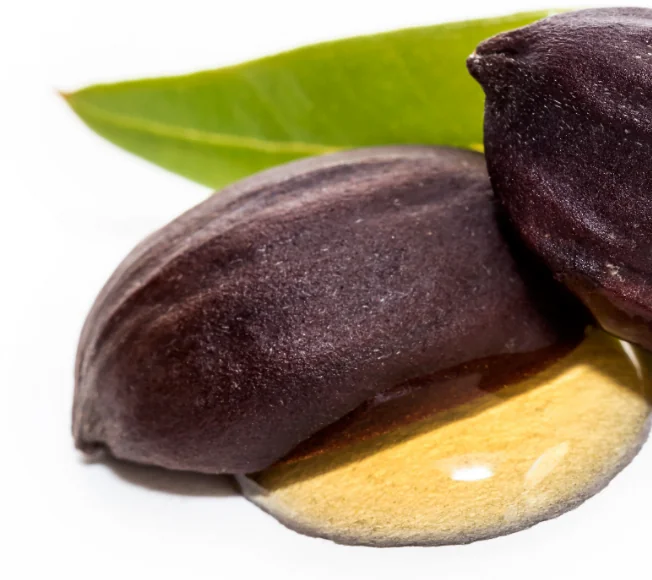 Jojoba Oil