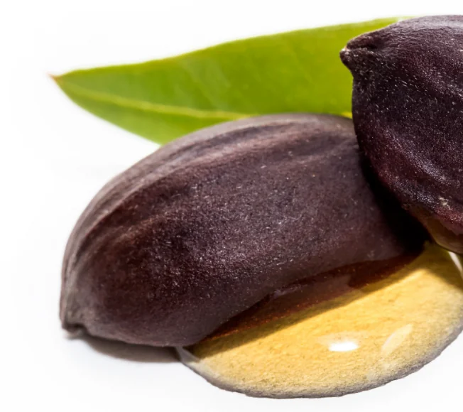 Jojoba Oil