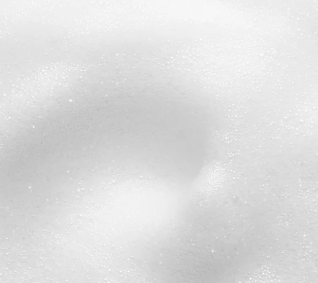 Lactobacillus Ferment