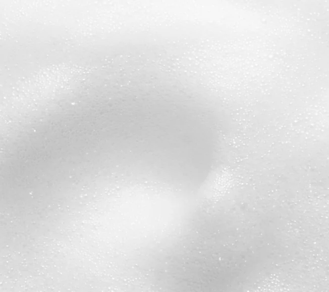 Lactobacillus Ferment